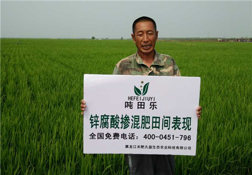 示范田展示 示范田展示